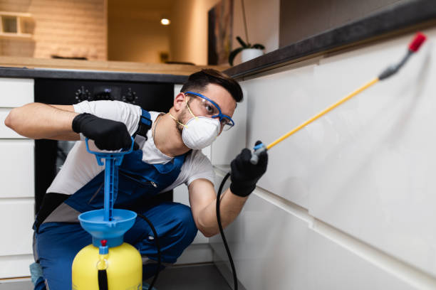 Best Pest Prevention Services  in Perezville, TX