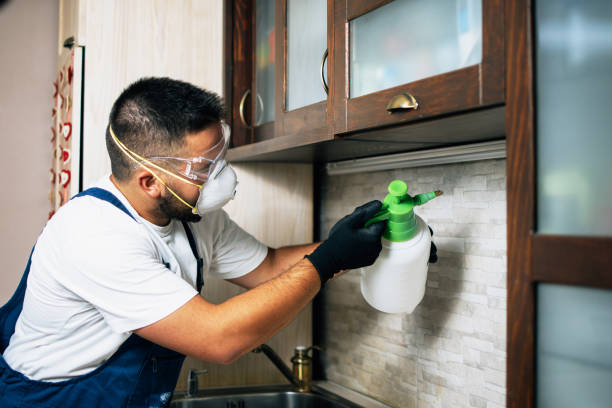 Best Commercial Pest Control Services  in Perezville, TX