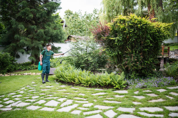 Professional Pest Control in Perezville, TX