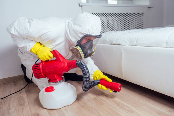 Best Emergency Pest Control  in Perezville, TX