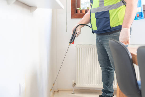 Best Flea Control Services  in Perezville, TX