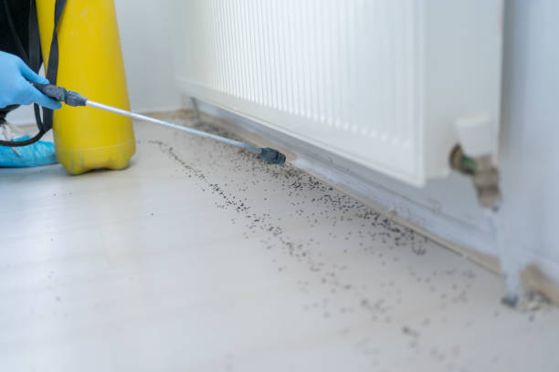 Pest Control Cost in Perezville, TX